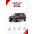 Батарейки в ключ Renault Duster (Рено Дастер)